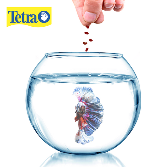 TETRA - BettaMin Alimento En Hojuelas Mezcla Tropical Para Peces Betta 23 g