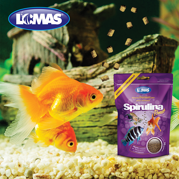 GRUPO LOMAS - Alimento Spirulina Boost Para Peces 70 g
