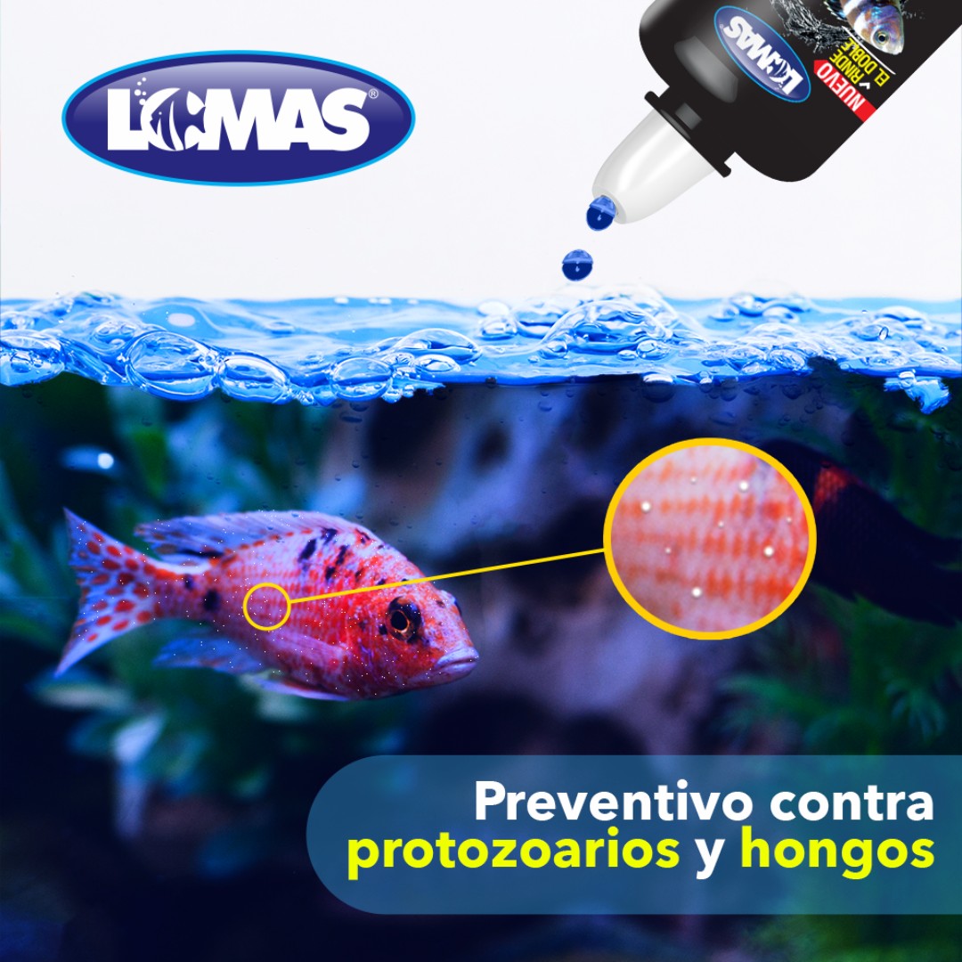 Antivacteriano Azul de Metileno 30 ML