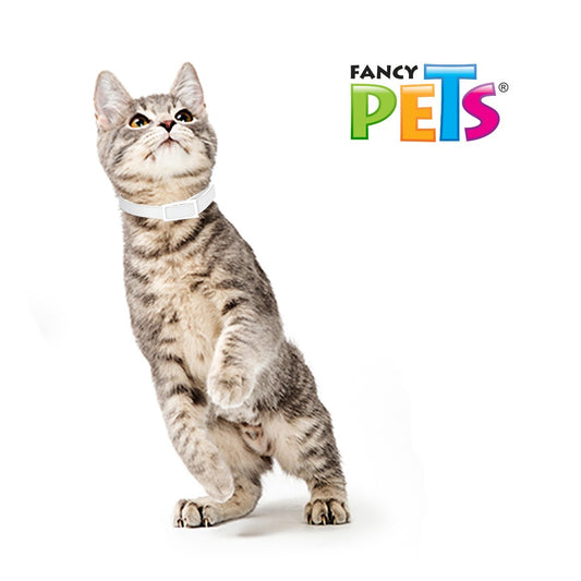 FANCY PETS - Collar Antipulgas Para Gato Medical Solutions
