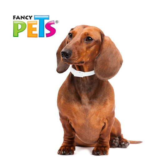 FANCY PETS - Collar Antipulgas Para Perro Medical Solutions Razas Chicas Y Cachorros