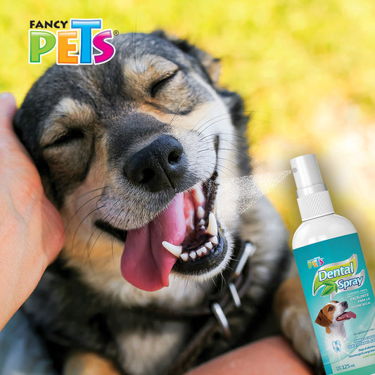 FANCY PETS - Spray Dental Para Perro Perro Sabor Menta 125 ml
