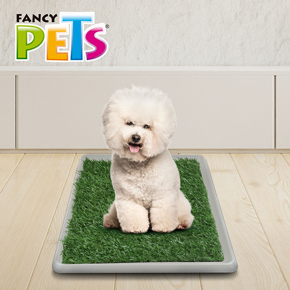 FANCY PETS - Tapete Entrenador Grande Para Perro 50 x 40 cm