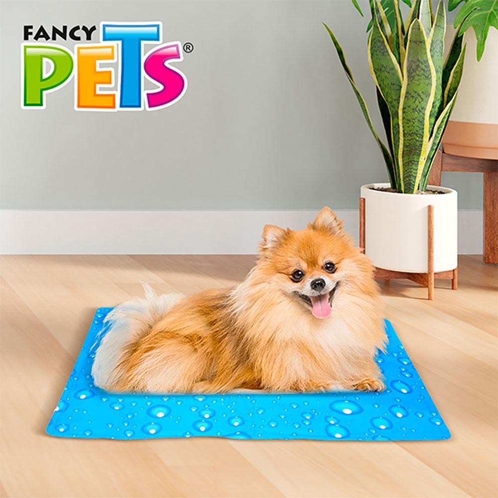 FANCY PETS - Tapete Refrescante Para Perro 12x25x7 cm CH