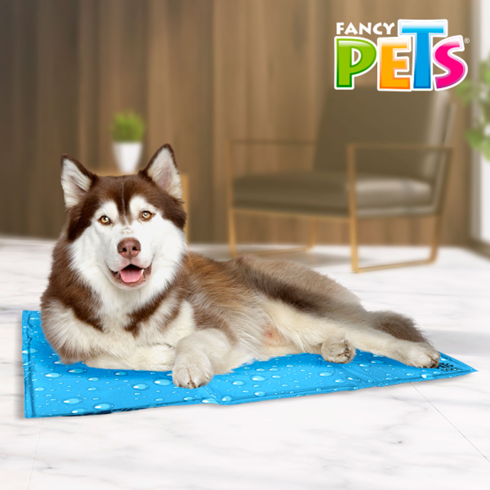 FANCY PETS - Tapete Refrescante Para Perro 23x44x7 cm XG