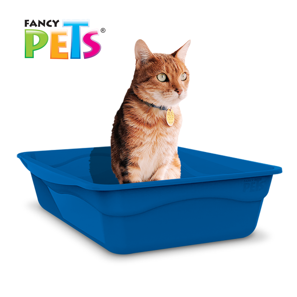 FANCY PETS - Arenero Mediano Para Gato 31x10x40