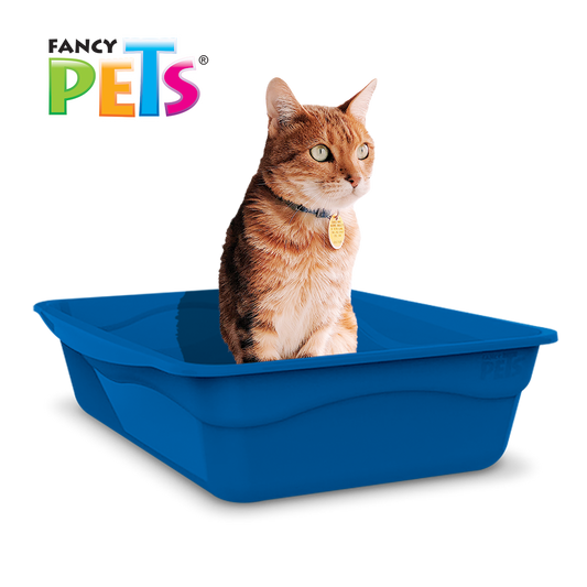 FANCY PETS - Arenero Mediano Para Gato 31x10x40