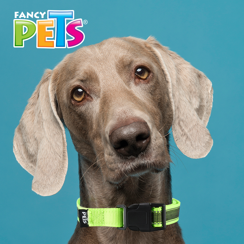 FANCY PETS - Collar Reflejante Verde Para Perro Gde