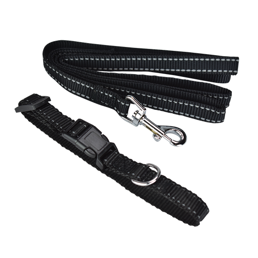 FANCY PETS - Correa Y Collar Reflejante Ajustable Ch Para Perro