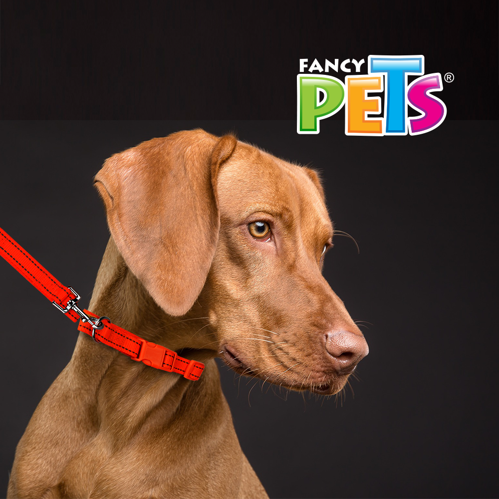 FANCY PETS - Correa Y Collar Reflejante Ajustable Med Para Perro