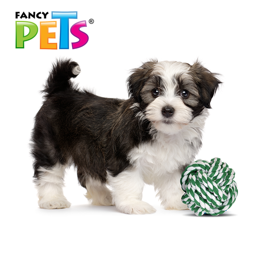 FANCY PETS - Juguete Bola De Hilo Multicolor Para Perro