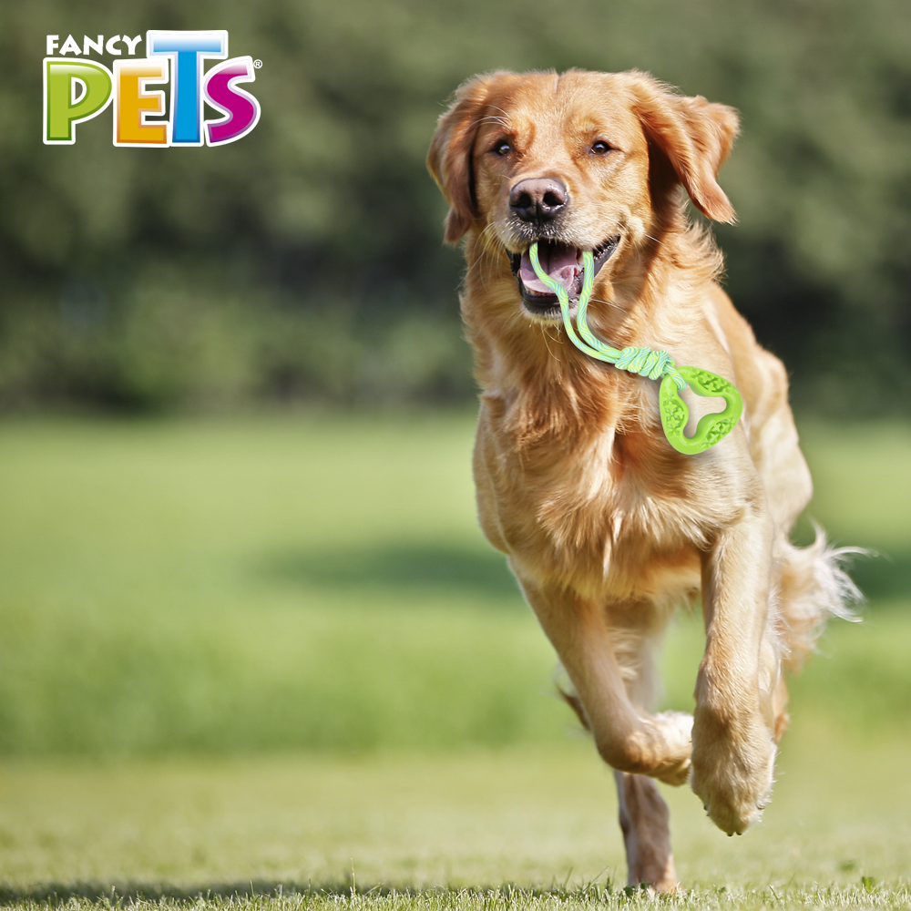 FANCY PETS - Juguete Para Perro Eslabon Con Cuerda Pull
