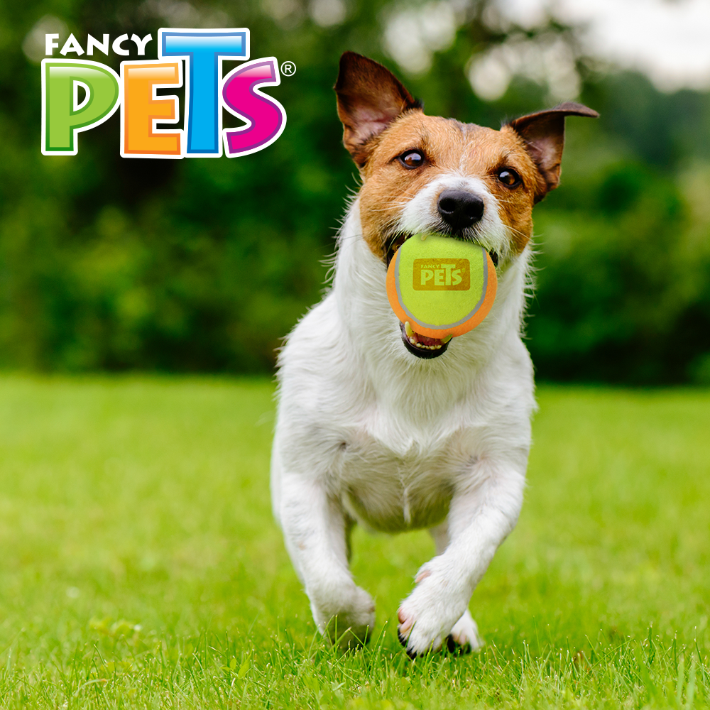 FANCY PETS - Pelota Bicolor Chica Para Perro 3 Pzas