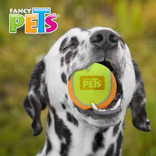 FANCY PETS - Pelota Bicolor Mediana Para Perro 3 Pzas