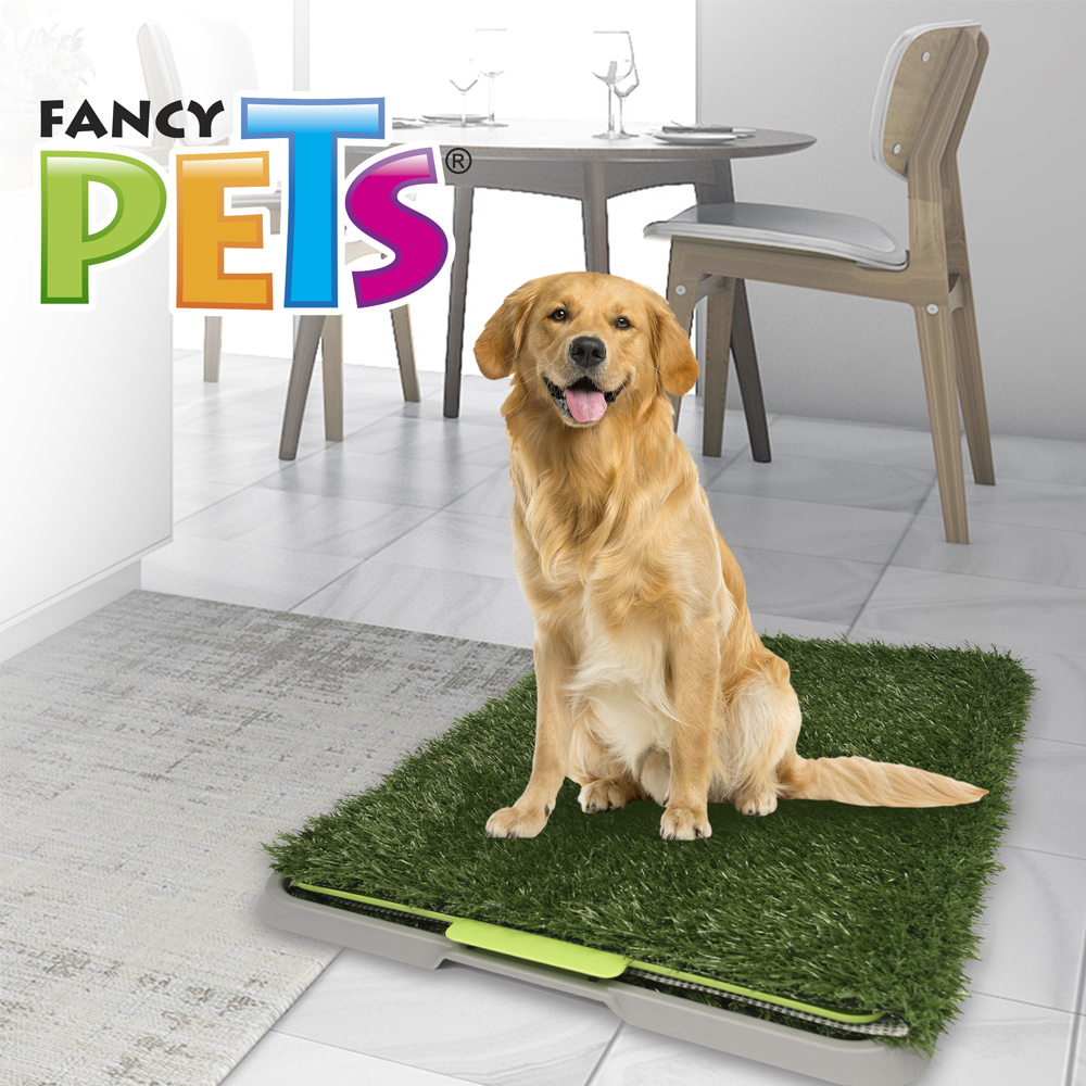 FANCY PETS - Tapete Entrenador Grande Para Perro 76x50 Cm