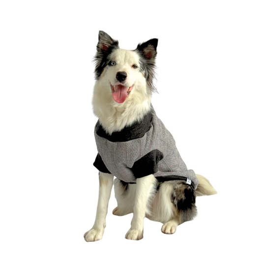ZOOETERS - Suéter Liso Color Gris Para Perro T10