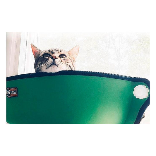 KAYTEE - Cama Para Gato En Ventana Color Verde 69X28 cm