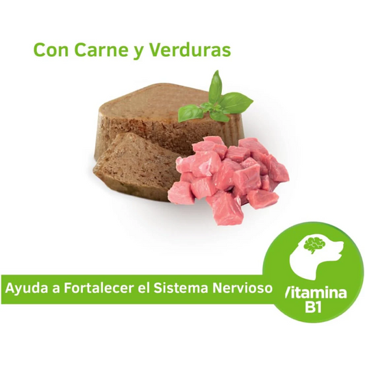 NUPEC - Alimento Húmedo En Lata Para Perro Adulto Con Verduras 1 Pza De 100 G