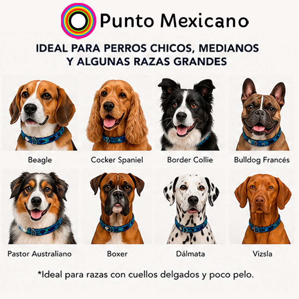 PUNTO MEXICANO - Collar Corrido Para Perro 60x2 Cm