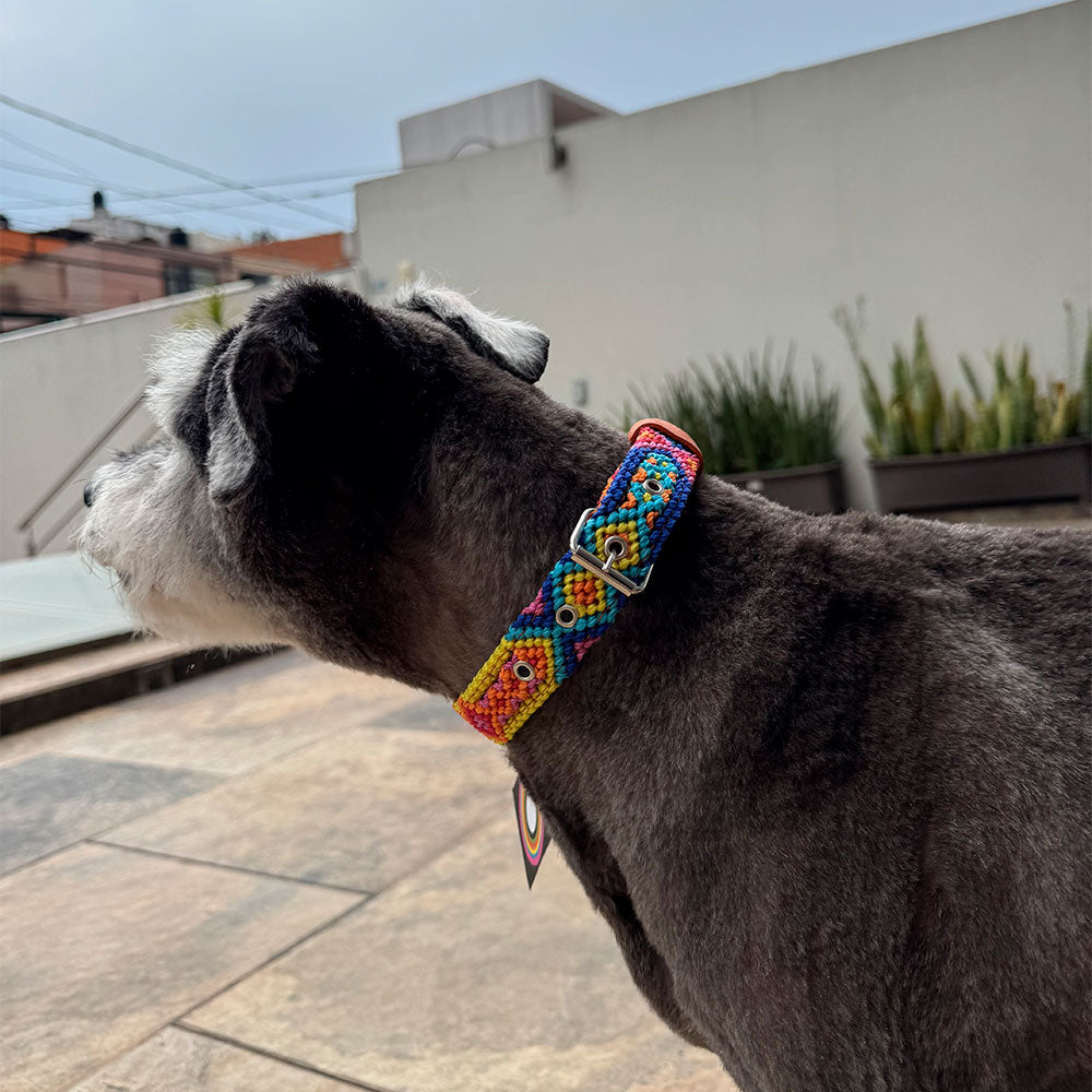 PUNTO MEXICANO - Collar Corrido Para Perro 45x2.5 Cm
