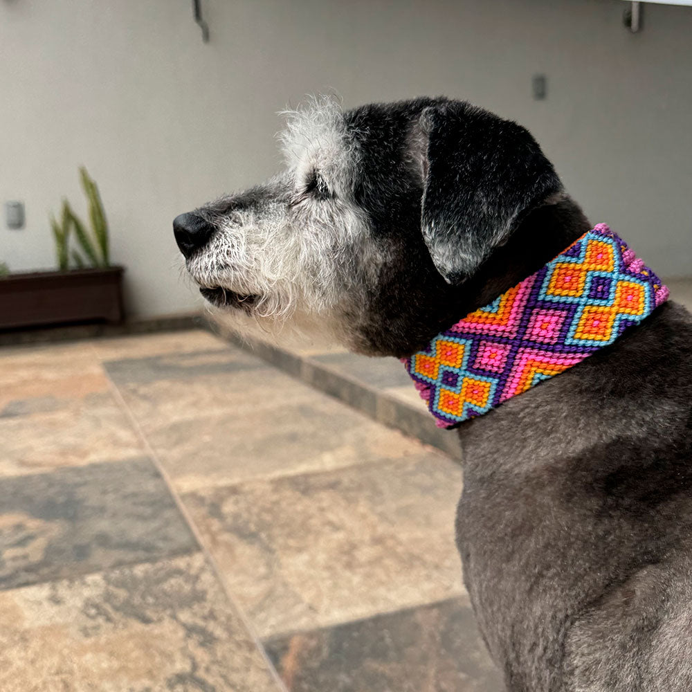 PUNTO MEXICANO - Collar Grande Ajustable Para Perro