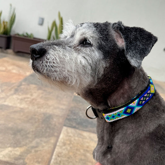 PUNTO MEXICANO - Collar Mediano Ajustable Para Perro
