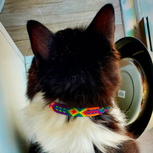 PUNTO MEXICANO - Collar Para Gato 17 Cm