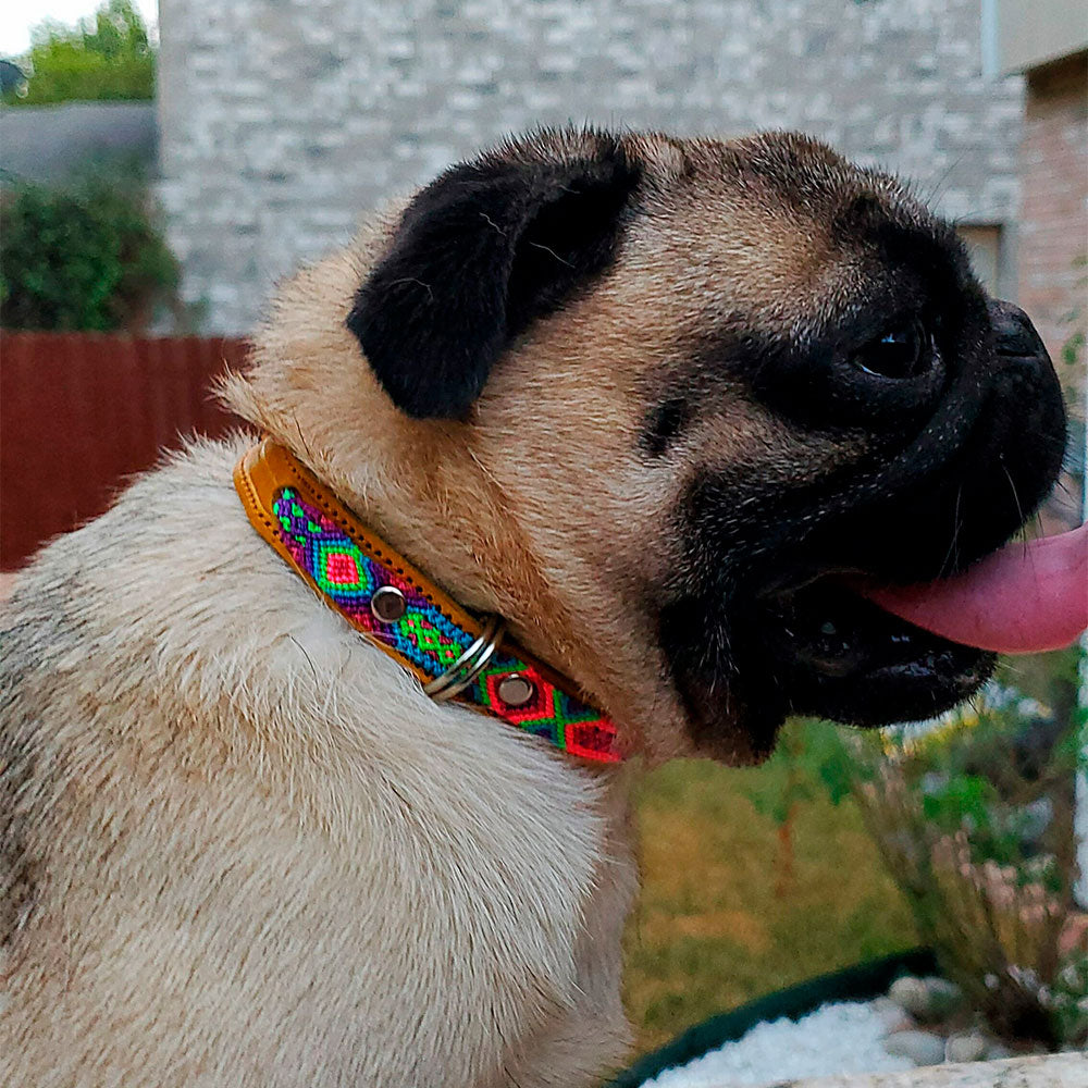 PUNTO MEXICANO - Collar Simple Para Perro 35x1 Cm