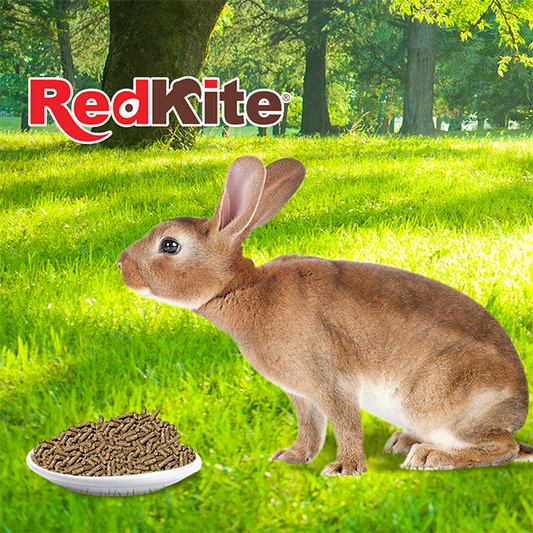 REDKITE - Alimento Pellets Para Conejo 1 Kg