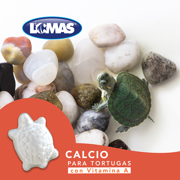 GRUPO LOMAS - Calcio Con Vitamina A Para Tortugas 2 Pz