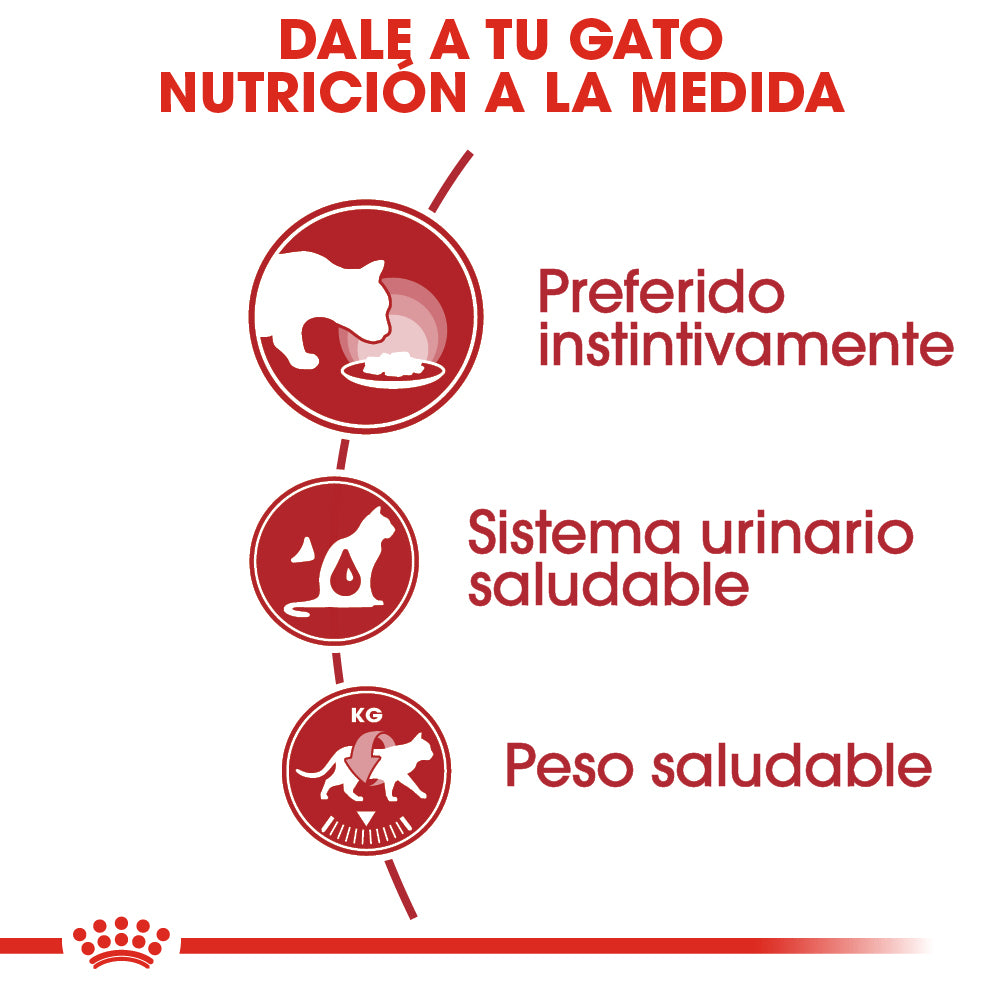 ROYAL CANIN - Adulto Instinctive Alimento Húmedo Gato Adulto Lata 85 g