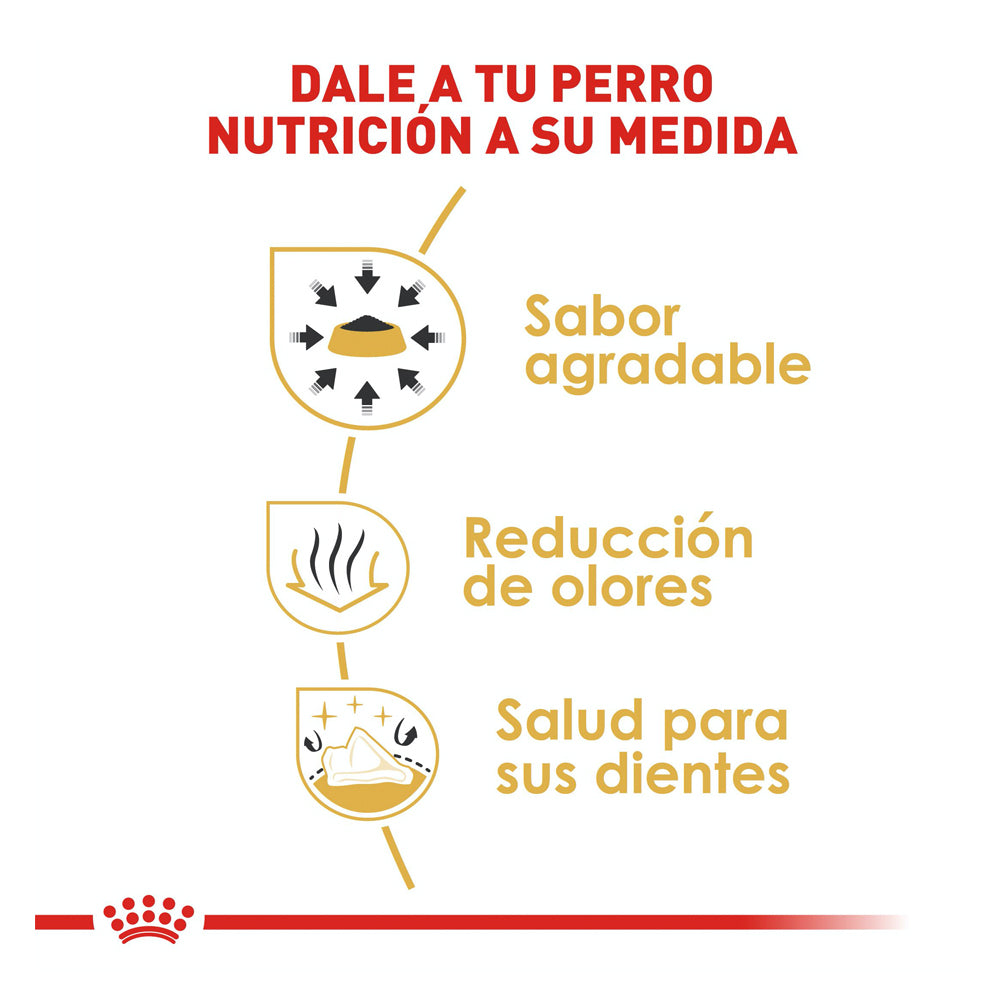 ROYAL CANIN - Alimento Seco Chihuahua Adulto 4.5 kg