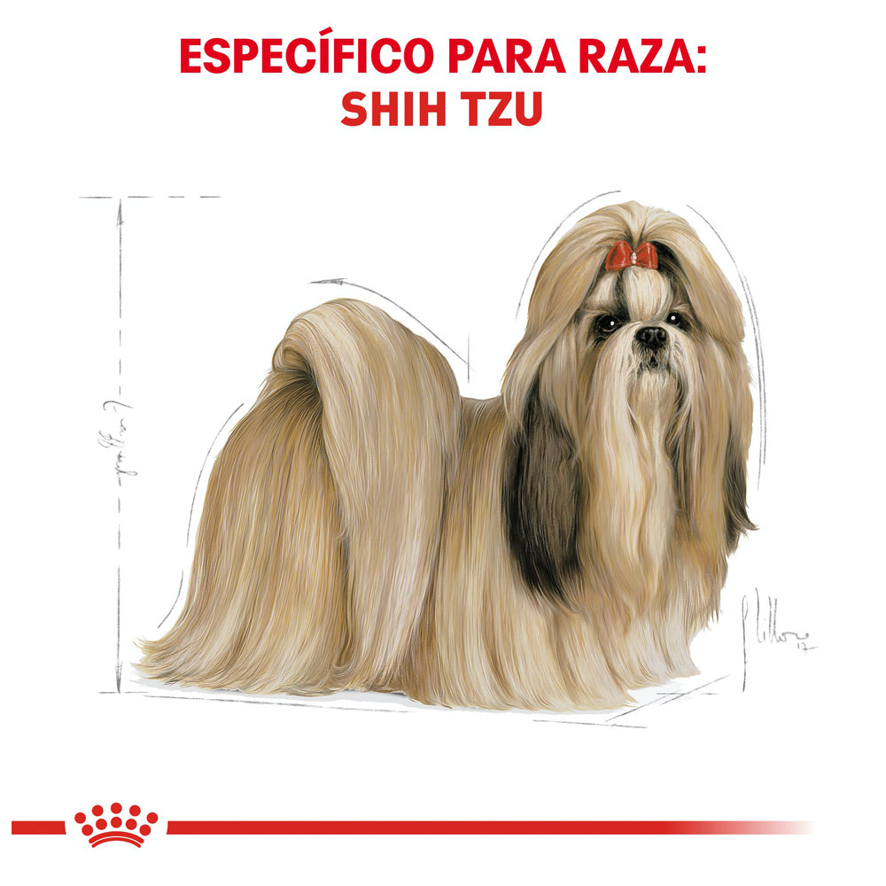 ROYAL CANIN - Alimento Seco Shih Tzu Adulto 4.54 kg
