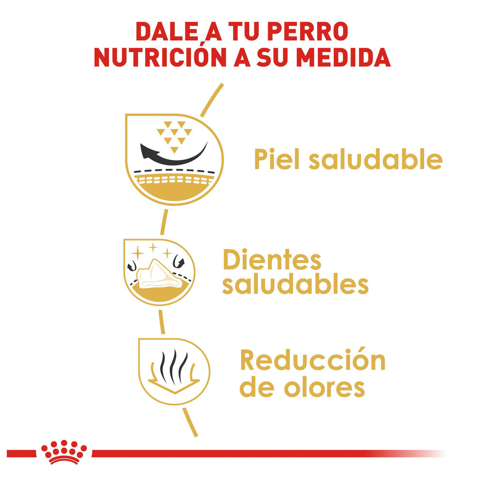 ROYAL CANIN - Alimento Seco Shih Tzu Adulto 4.54 kg