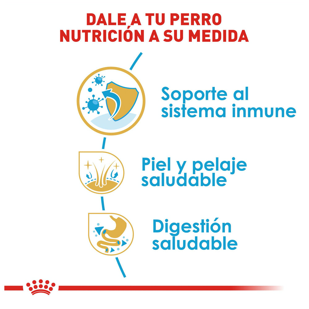 ROYAL CANIN - Alimento Seco Shih Tzu Cachorro 1.1 kg