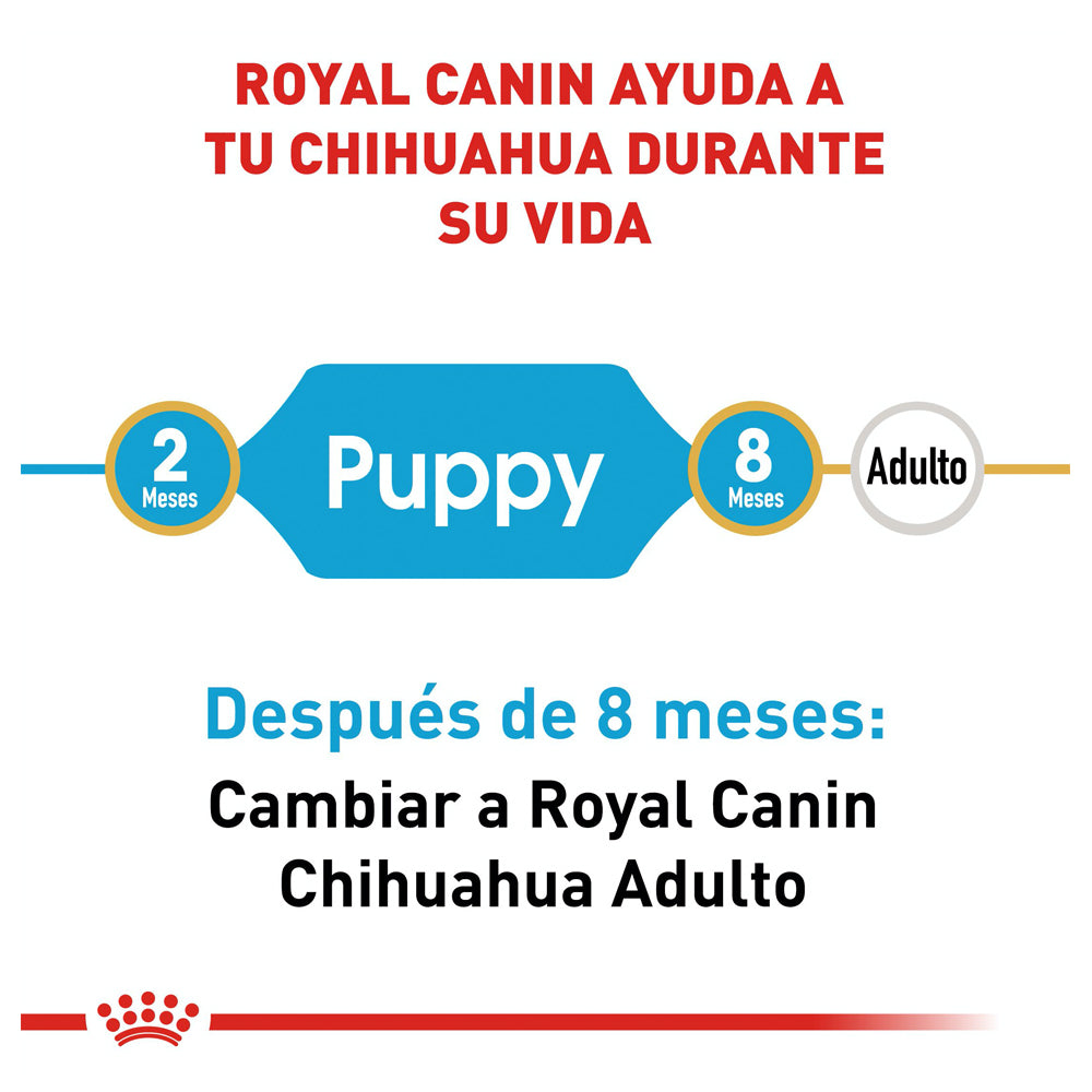 ROYAL CANIN - Alimento Seco Chihuahua Cachorro 1.1 kg