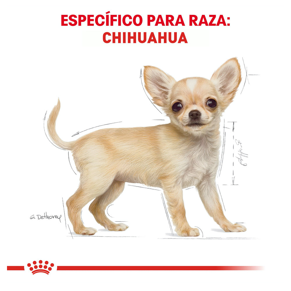 ROYAL CANIN - Alimento Seco Chihuahua Cachorro 1.1 kg
