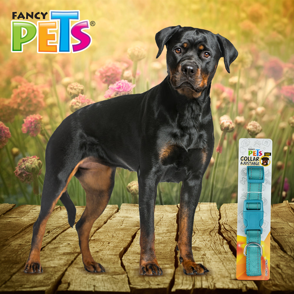 FANCY PETS - Collar Para Perro De Nylon Con Bandas Reflejantes Gde