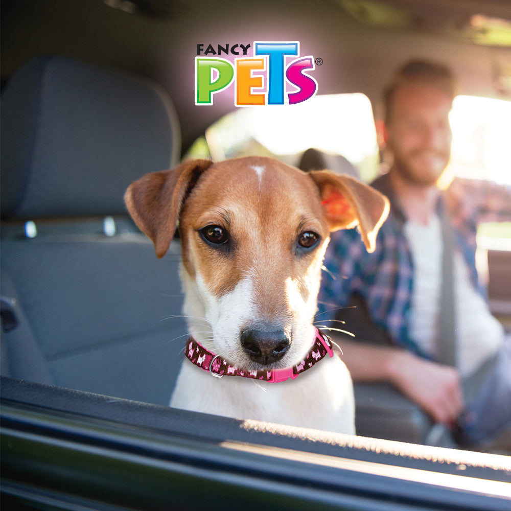 FANCY PETS - Collar Nylon con Listón Bordado Extrachico