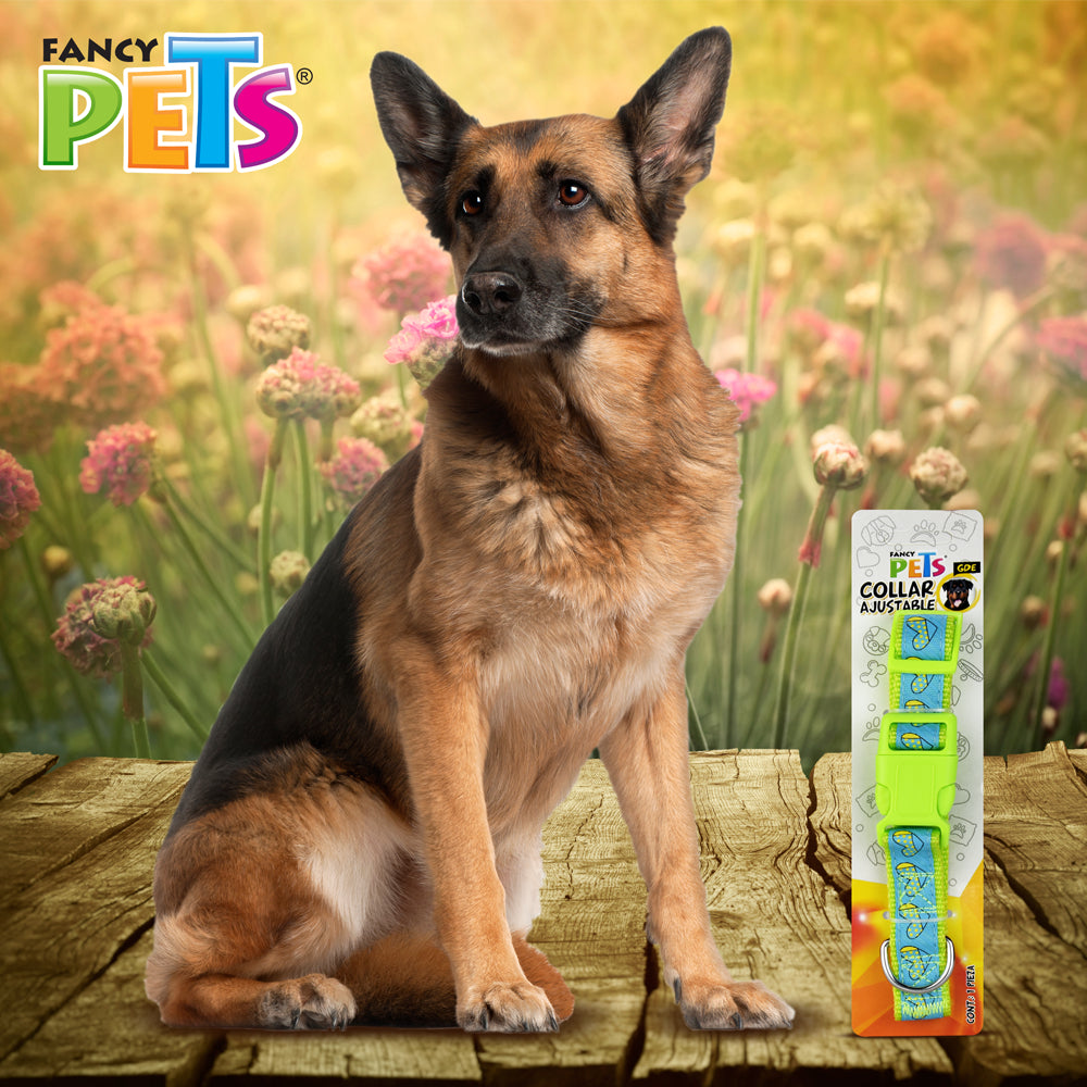 FANCY PETS - Collar Nylon con Listón Bordado Grande