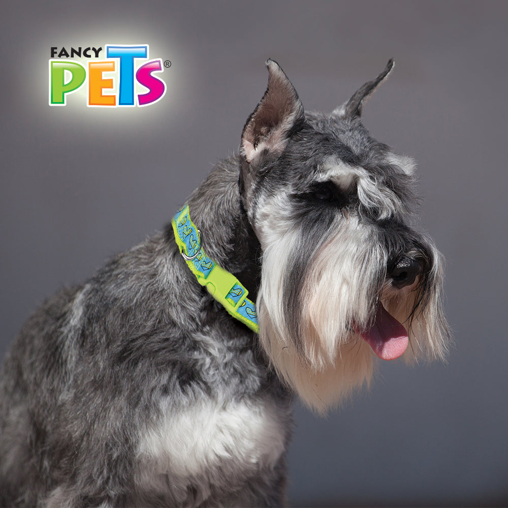 FANCY PETS - Collar Para Perro De Nylon Con Listón Bordado Med