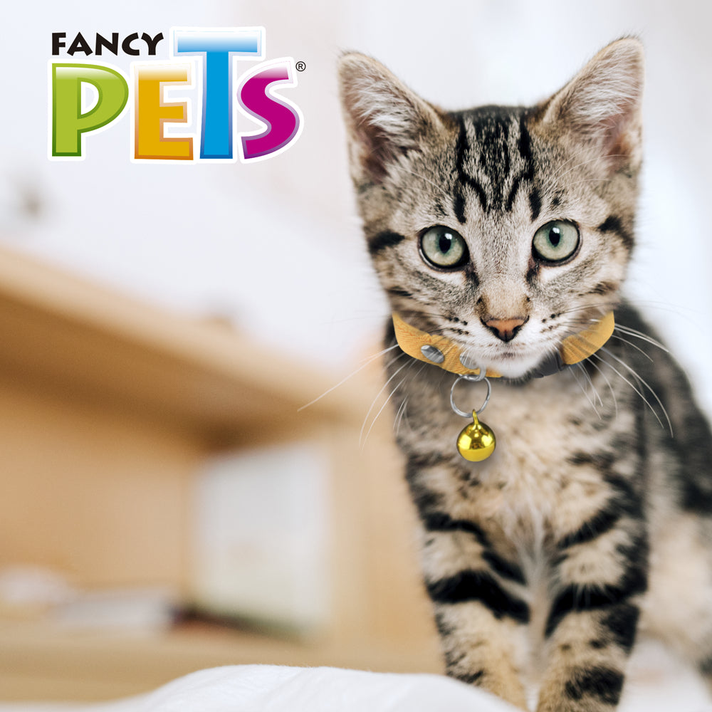 FANCY PETS - Collar Elástico con Cascabel para Gato
