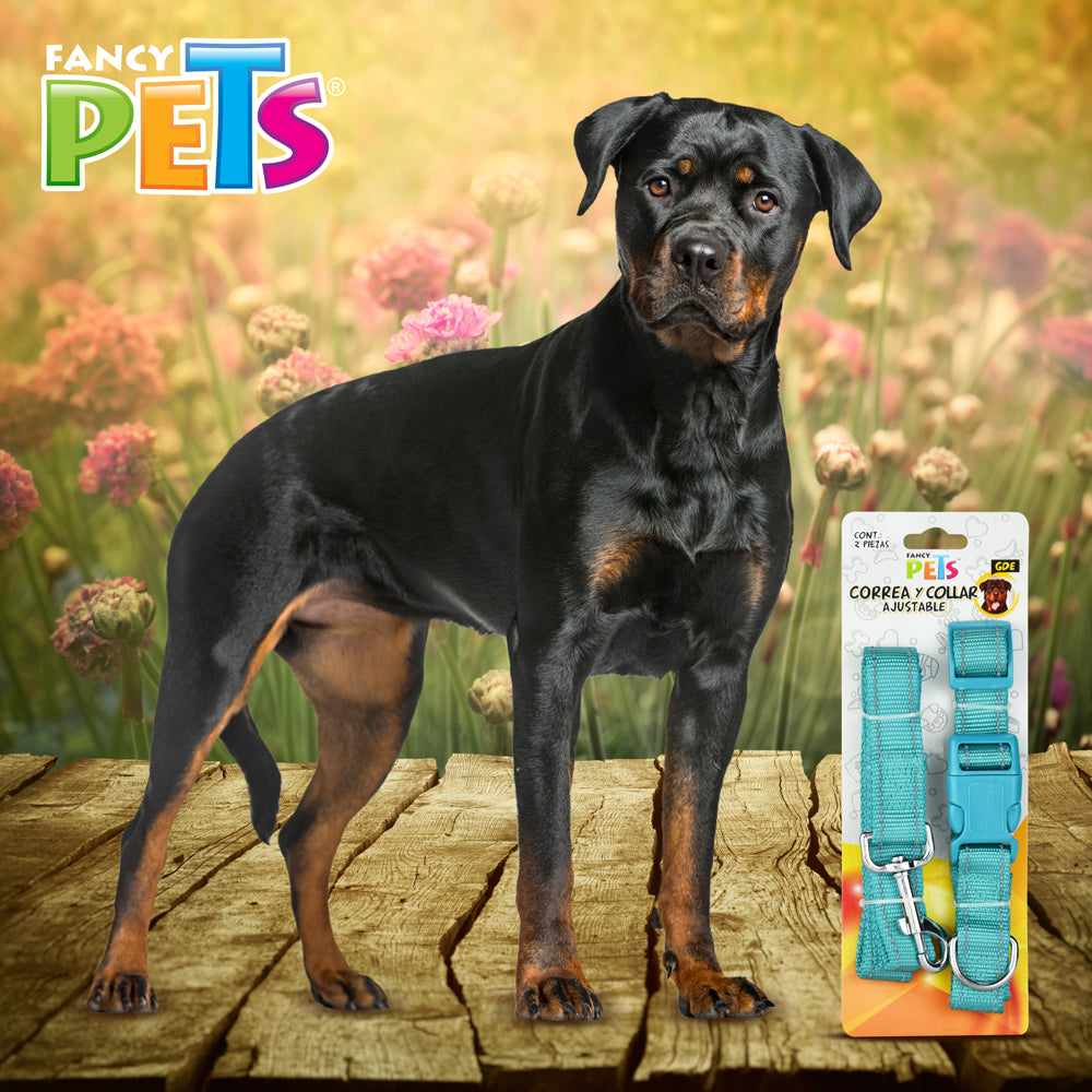 FANCY PETS - Collar Para Perro Con Correa y Bandas Reflejantes Gde