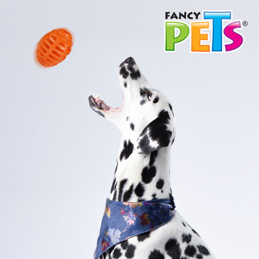FANCY PETS - Juguete Balón de Rugby Grande para Premio