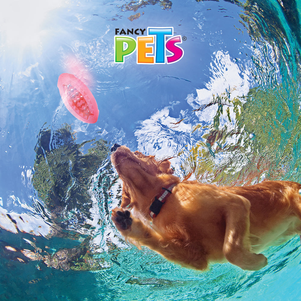 FANCY PETS - Juguete Masticable Balón Americano