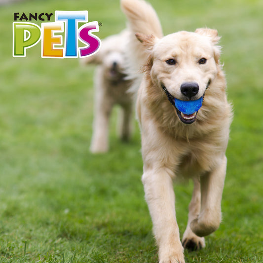 FANCY PETS - Juguete Pelota Prisma Con Sonido Grande