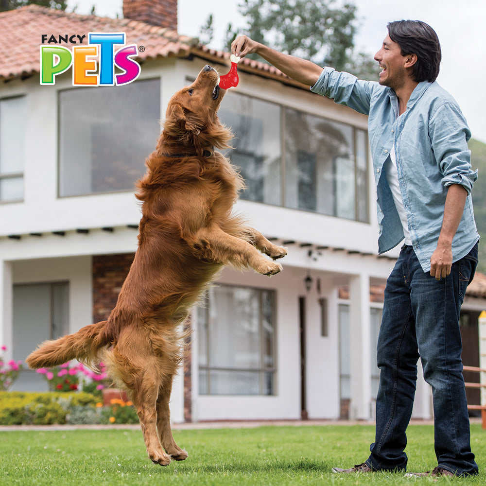 FANCY PETS - Juguete Pierna Sabor Pollo