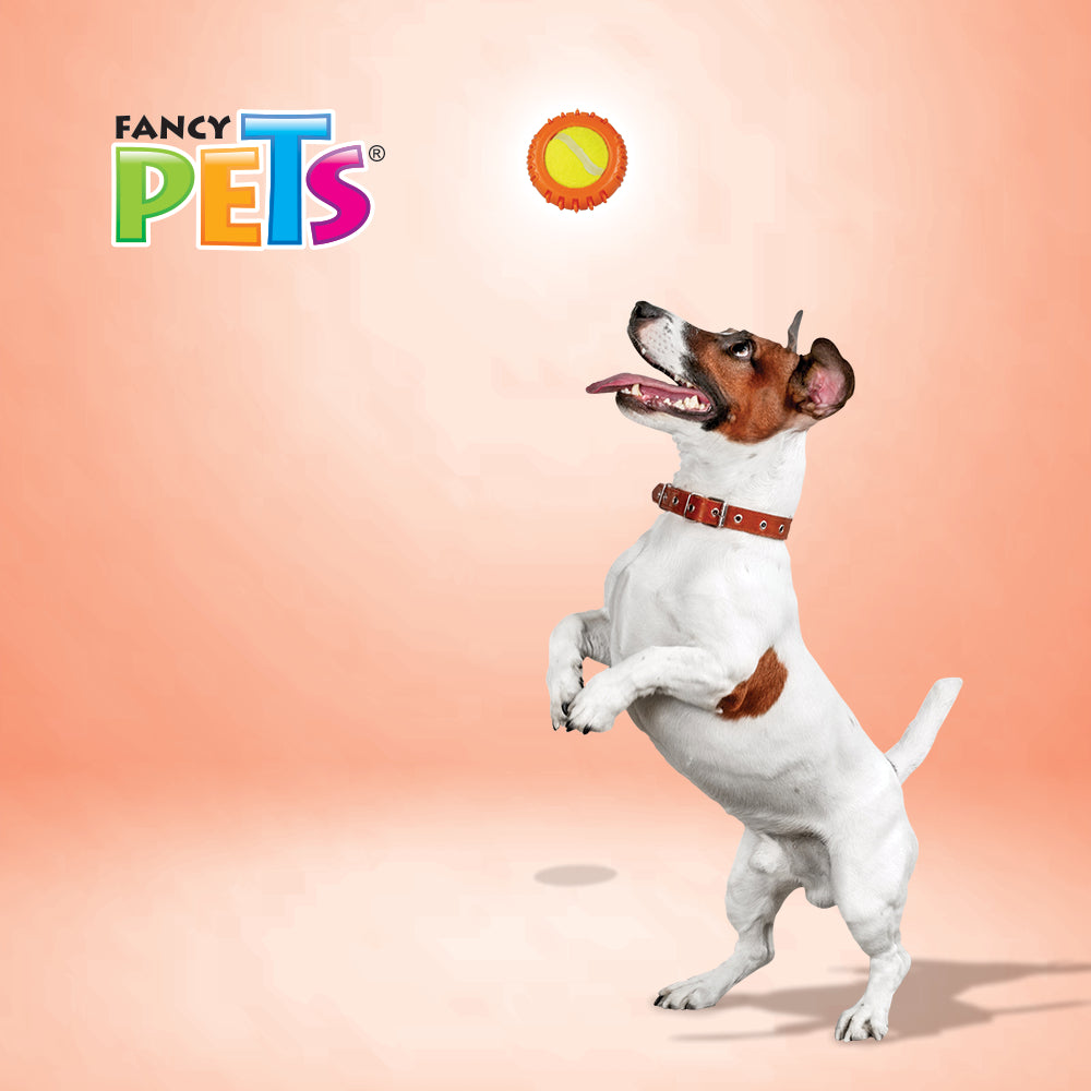 FANCY PETS - Juguete con Pelota De Tenis