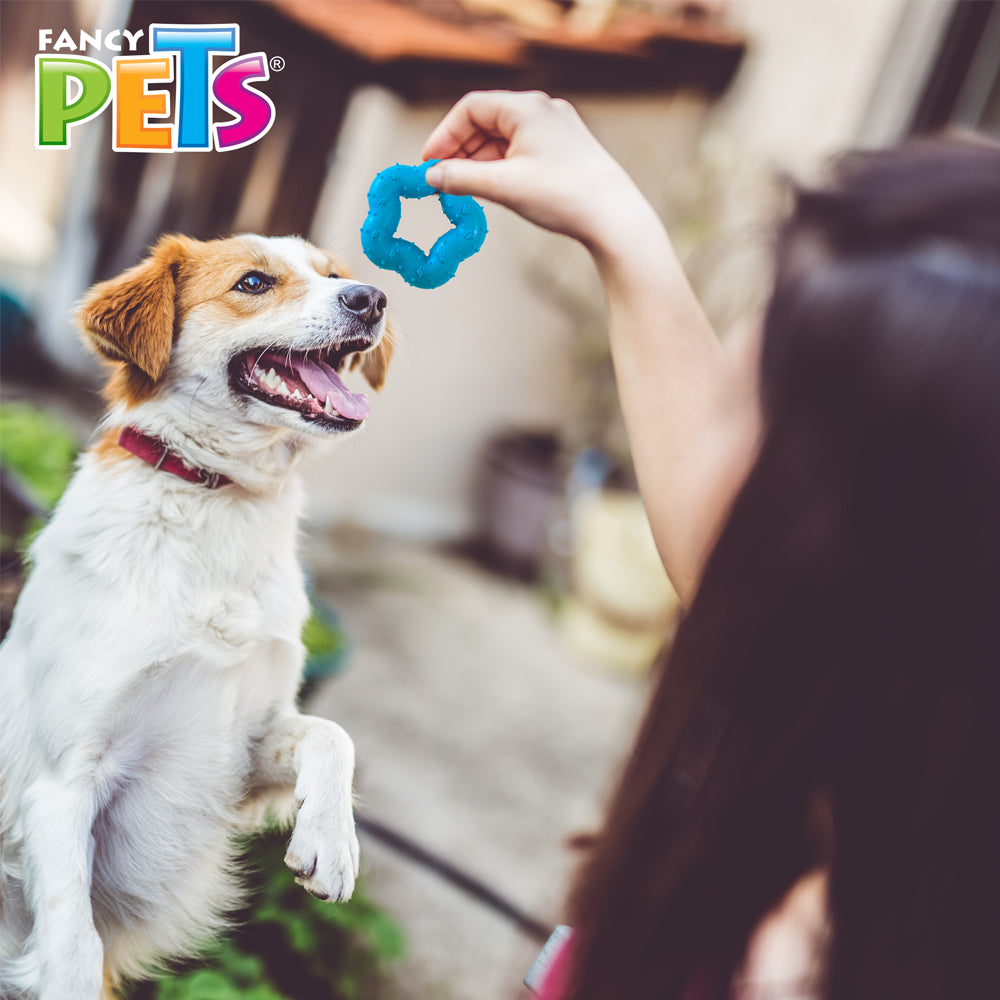 FANCY PETS - Juguete Estrella De Caucho Para Perros