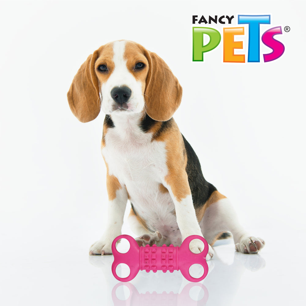FANCY PETS - Juguete Hueso De Caucho Para Perro